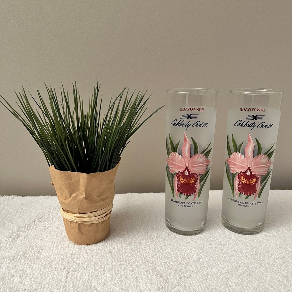 2 Carnival Cruise Line Cocktail Beverage Glasses